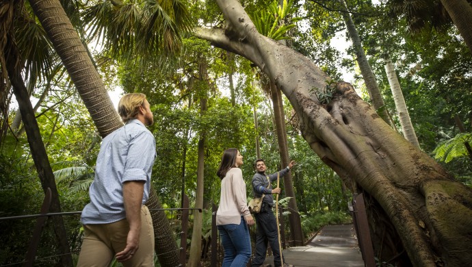 Melbourne Royal Botanic Gardens